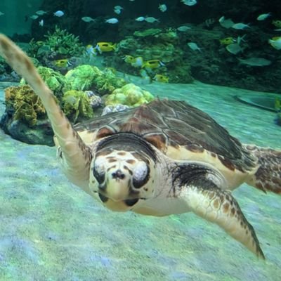 Iarim_1159's profile picture. 