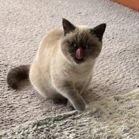 Aşkın ∆ (@kirmizibulutlar) Twitter profile photo