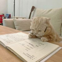 Mesan Hijazy (@mesanx) 's Twitter Profile