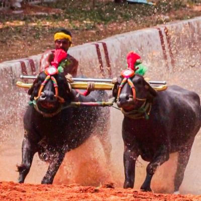 kuthlur's profile picture. 