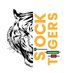 STOCK TIGERS (@hjyadav) Twitter profile photo STOCK TIGERS (@hjyadav) Twitter profile photo