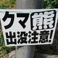 直轄警ら(本物)絶賛氷河期 (@ilnxdjnz5m92870) 's Twitter Profile Photo 直轄警ら(本物)絶賛氷河期 (@ilnxdjnz5m92870) 's Twitter Profile Photo
