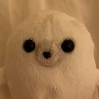 にう@あざらし (@f79364) Twitter profile photo