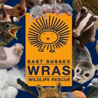 East Sussex WRAS (@eastsussexwras) 's Twitter Profile