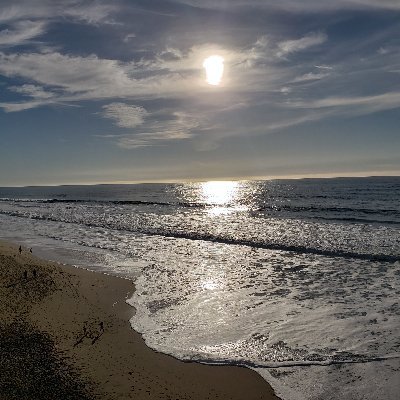 bestofthebay's profile picture. just observing!