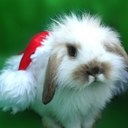 ELISA rosado - @elite33_b - Twitter