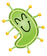 Katchus helps users and businesses create Social Infectious Networking