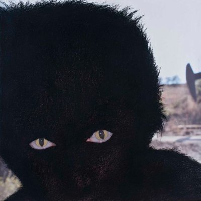 drogasymujeres's profile picture. Hi (with love)