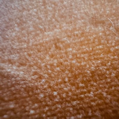 13198513's profile picture. 