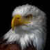 Atif (@atif_iba_88) Twitter profile photo Atif (@atif_iba_88) Twitter profile photo