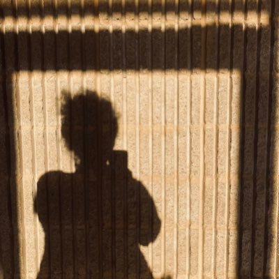 assemblagealva's profile picture. Designer, Marketer, & sometimes Art|Architectural Historian 🦢I mostly tweet about political things. For pretty stuff see IG.