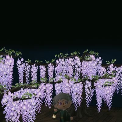 きょんさんのプロフィール画像
