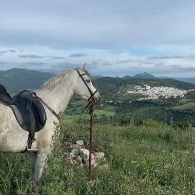 xc__128's profile picture. انتِ ياعمري بلادي.