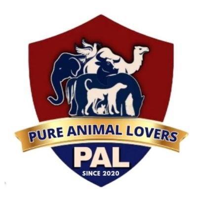 PAL Welfare Foundation Profile