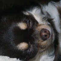 ゆうき (@xt75130) 's Twitter Profile