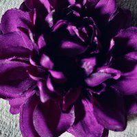 Ruana@取引垢 (@gregcordy1889) 's Twitter Profile