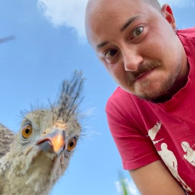 🪶🦉ArfAxel 🦅🪶さんのプロフィール画像