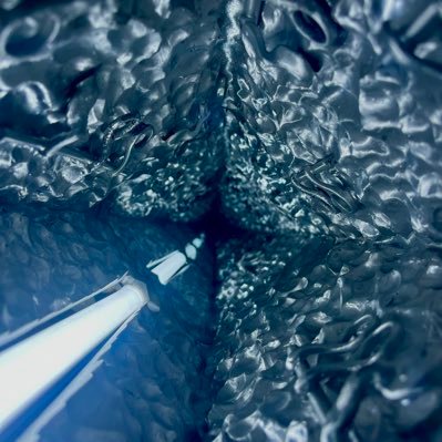 jlsylf's profile picture. 🌻 vt