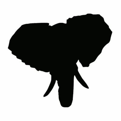 1gksP6DmL972246's profile picture. 
