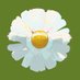 Sentter (@sentter2) Twitter profile photo Sentter (@sentter2) Twitter profile photo