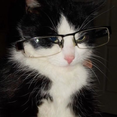 its_ajlqq's profile picture. 20