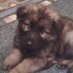 PatriotPrivate862763b (@bill_hayes1965) Twitter profile photo PatriotPrivate862763b (@bill_hayes1965) Twitter profile photo