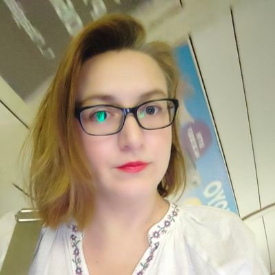 Ukrainian, born in Kyiv.
PhD in world history, master in foreign relations #UkraineWillWin 🕊️ 💙💛