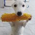 corn⁷ (@theyluvjoon) Twitter profile photo corn⁷ (@theyluvjoon) Twitter profile photo