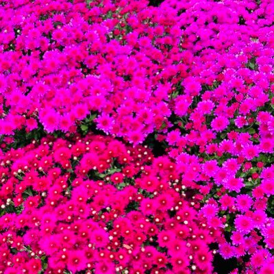 bswift2007's profile picture. 