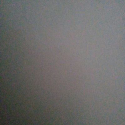 Paco_Nieto_G's profile picture. 