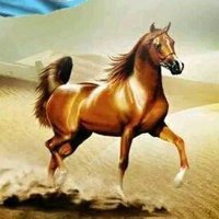 محمد (@malbaqmaa75892) 's Twitter Profile