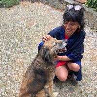 Elif (@olijfke__) 's Twitter Profile