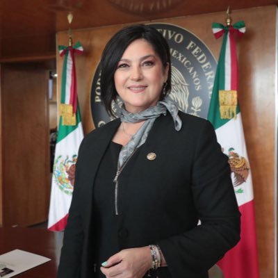 Diputada federal por el Distrito 7 de Tamaulipas (Reynosa-Ribereña).