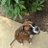 AndrewBarba16's profile image