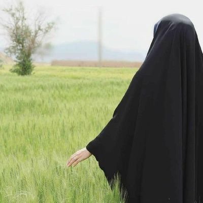عاشقان را گرچه در باطن جهانی دیگر است،
عشق آن دلدار ما را ذوق و جانی دیگر است!💚