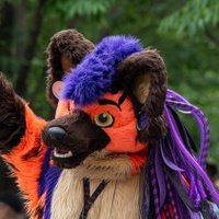 ⚡️Vaalrein Hyena⚠️ (@vaalrein_hyena) 's Twitter Profile Photo