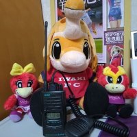 JO3AXC / きょうとKP127 (@jo3axc) 's Twitter Profile