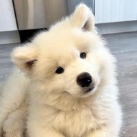 Elionnn (@elionnn3) 's Twitter Profile Photo