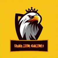 Shahmeer (@shahmeer_shaim) 's Twitter Profile