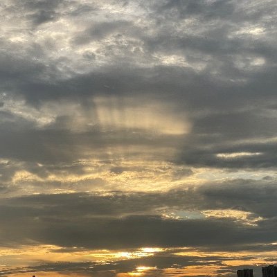 Steven10387799's profile picture. 