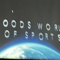Woods World of Sports (@sandman4235) 's Twitter Profile