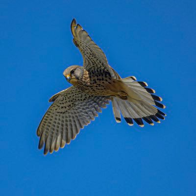 JohnWil72455115's profile picture. 