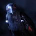 Mephisto (@crowmephisto) Twitter profile photo Mephisto (@crowmephisto) Twitter profile photo