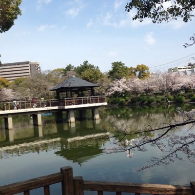 Tranvanbien20's profile picture. Vui tính