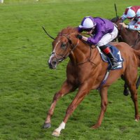 Amo Racing (@amoracingltd) 's Twitter Profile
