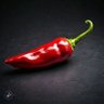 vilasgowda11's profile picture. I am looking sweet 50