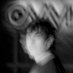 Juanito (@soy_juanlopez) Twitter profile photo Juanito (@soy_juanlopez) Twitter profile photo