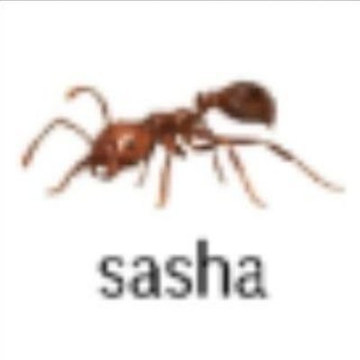 kogemoee_'s profile picture. 