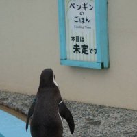 nagi (@2000sunagimo) Twitter profile photo