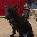 james Mcgilvray - @1981Jamesmc - Twitter